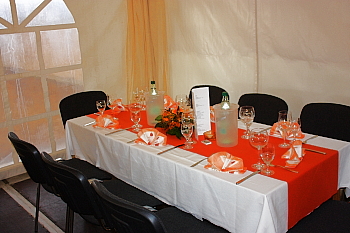 IMG_3869 IMG_3869